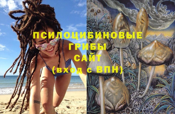 ПСИЛОЦИБИНОВЫЕ ГРИБЫ Надым