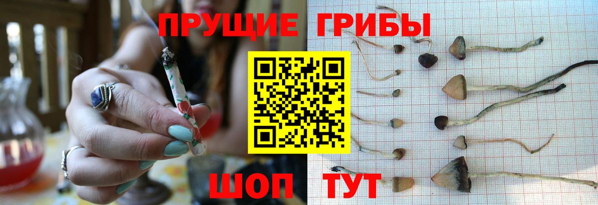 Нарьян-Мар  Галлюциногенные грибы MAGIC MUSHROOMS  Галлюциногенные грибы Psilocybe  Вход с VPN 
